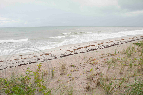 auman_photo-002