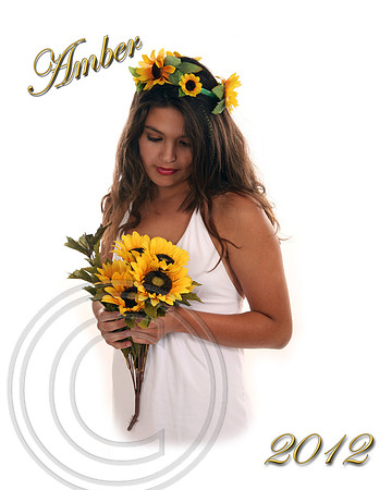 amber HK 810