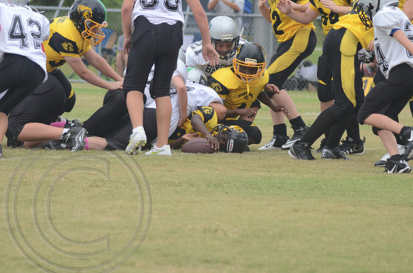 auman_photo_proof_0034