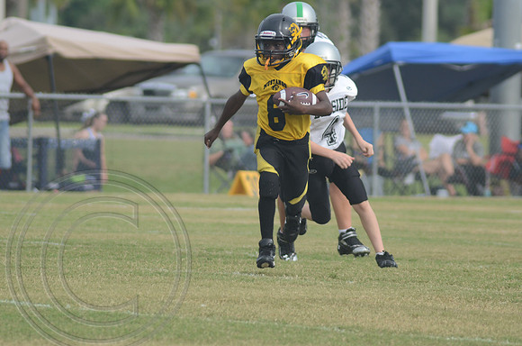 auman_proof_0260