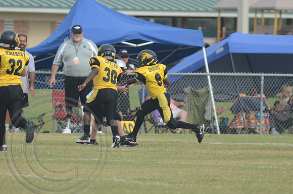 auman_proof_0264