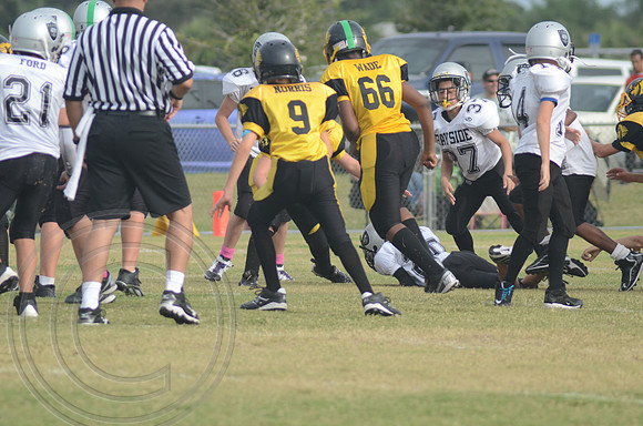 auman_proof_0294