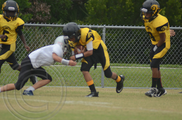 auman_photo_proof_0030