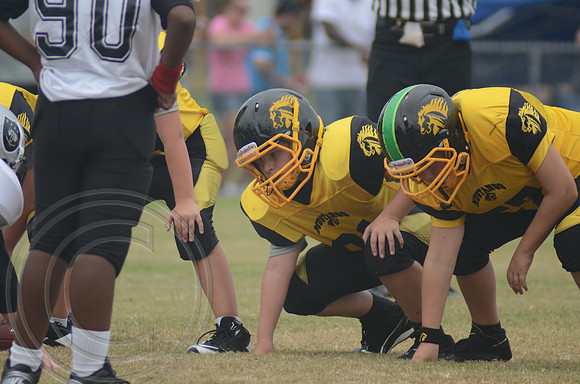 auman_photo_proof_0031