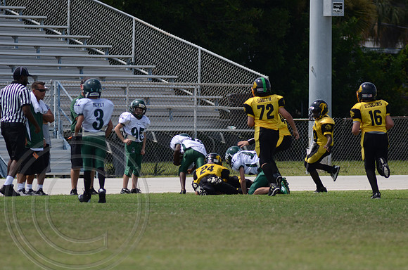 auman_photo_proof_0049