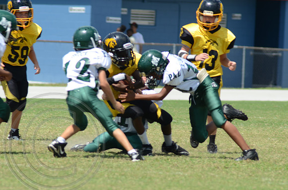 auman_photo_proof_0025