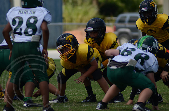 auman_photo_proof_0061