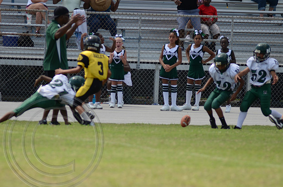 auman_proof_0151