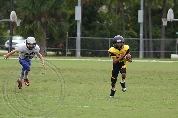 auman_photo_proof_0029