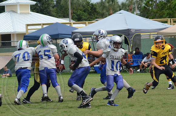 auman_photo_proof_0044