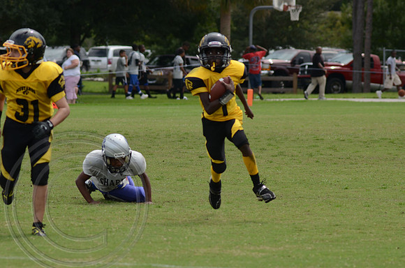 auman_photo_proof_0066