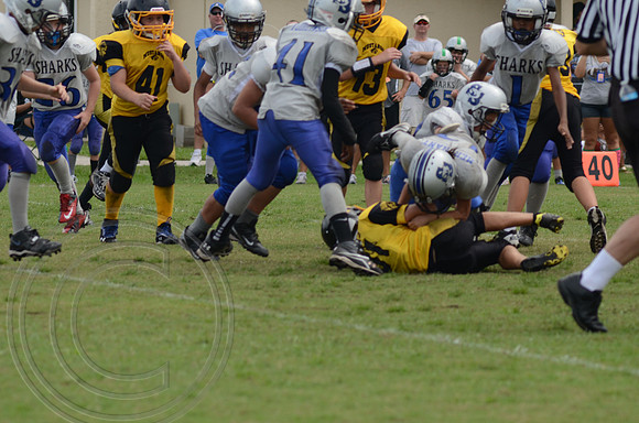 auman_photo_proof_0067