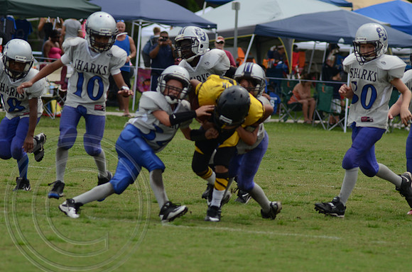 auman_photo_proof_0070