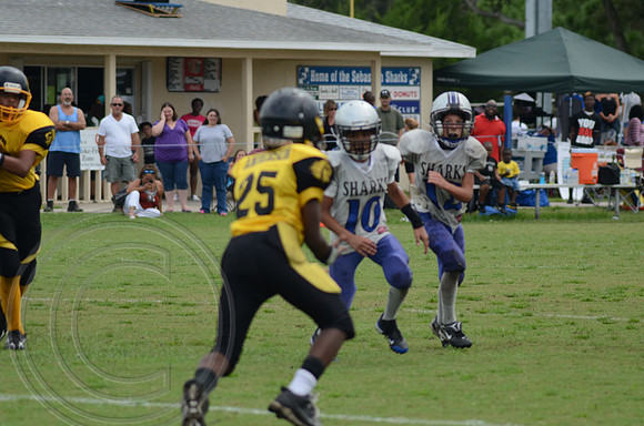 auman_photo_proof_0077