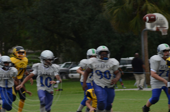 auman_photo_proof_0109