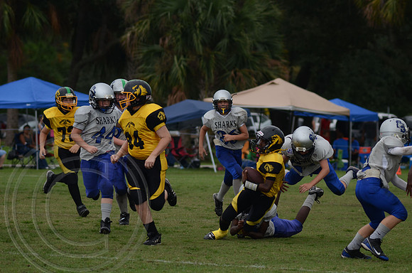 auman_photo_proof_0031