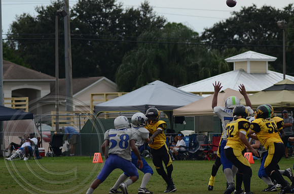 auman_photo_proof_0034