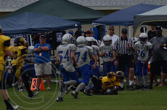auman_photo_proof_0040