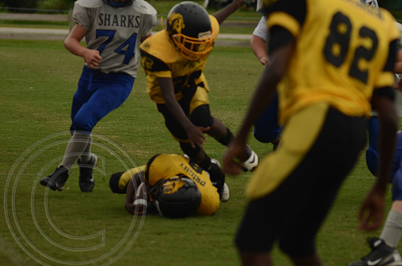 auman_photo_proof_0045