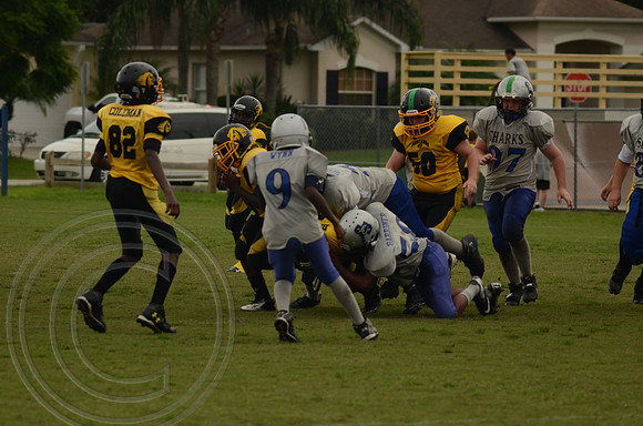 auman_photo_proof_0048