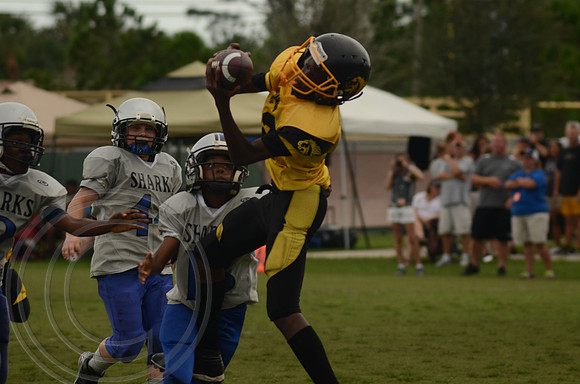 auman_photo_proof_0049
