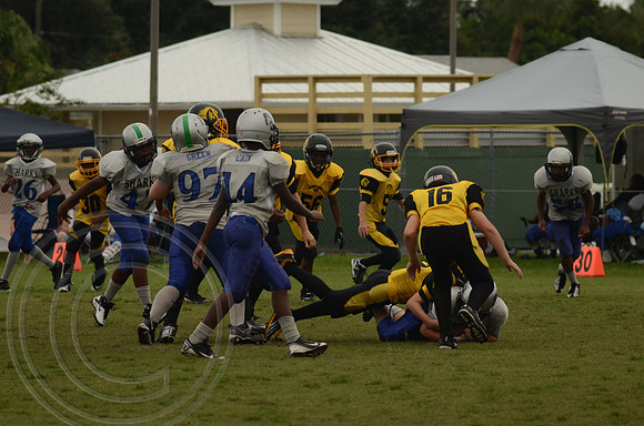 auman_photo_proof_0052