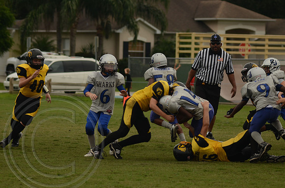auman_photo_proof_0053