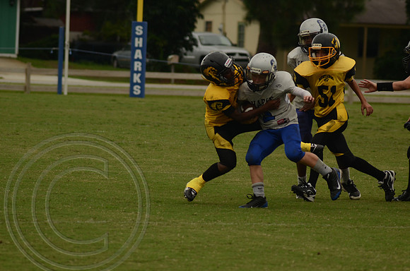 auman_photo_proof_0054