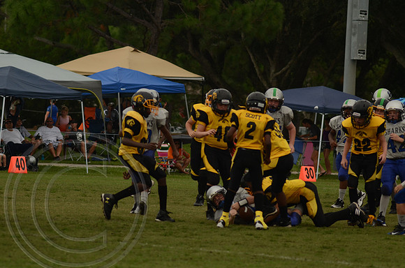 auman_photo_proof_0058