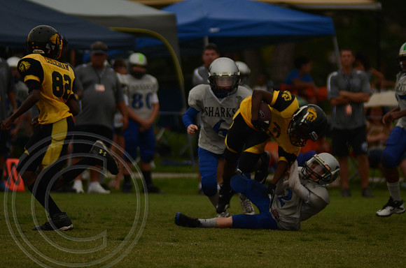 auman_photo_proof_0066