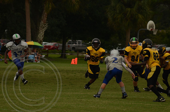 auman_photo_proof_0068
