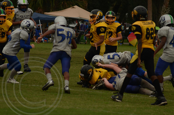 auman_photo_proof_0072