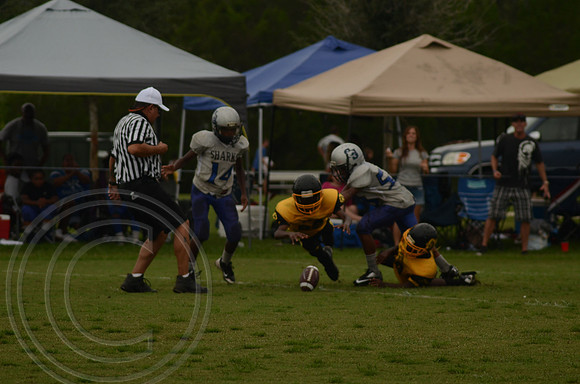 auman_photo_proof_0081