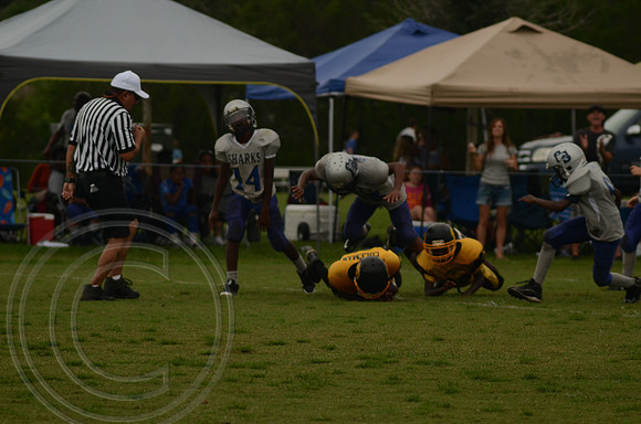 auman_photo_proof_0082