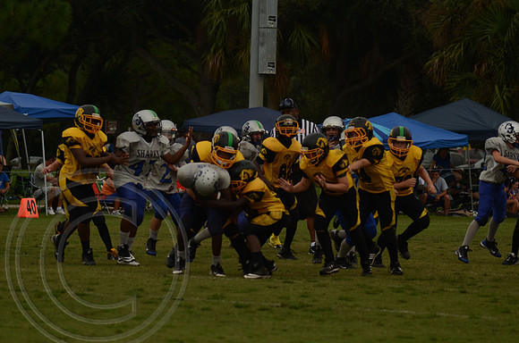 auman_photo_proof_0088