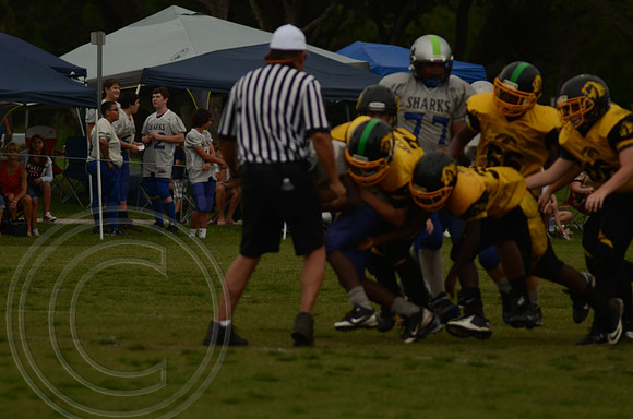 auman_photo_proof_0089