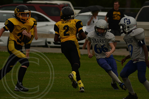 auman_photo_proof_0099