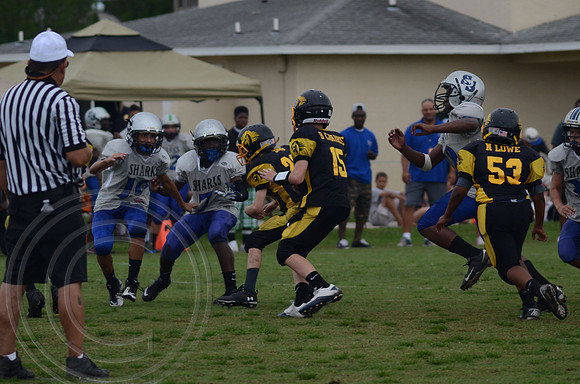 auman_photo_proof_0019