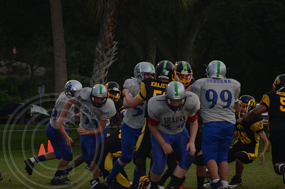 auman_photo_proof_0029