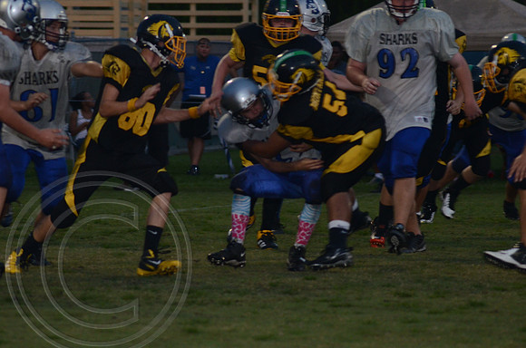 auman_photo_proof_0039