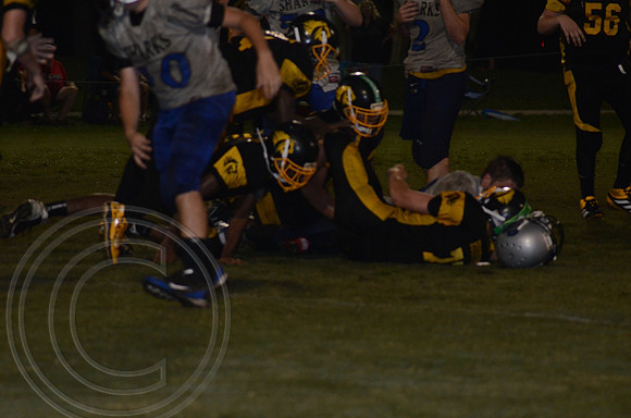 auman_photo_proof_0098