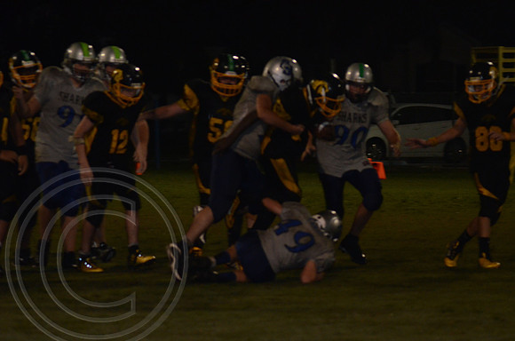 auman_photo_proof_0116