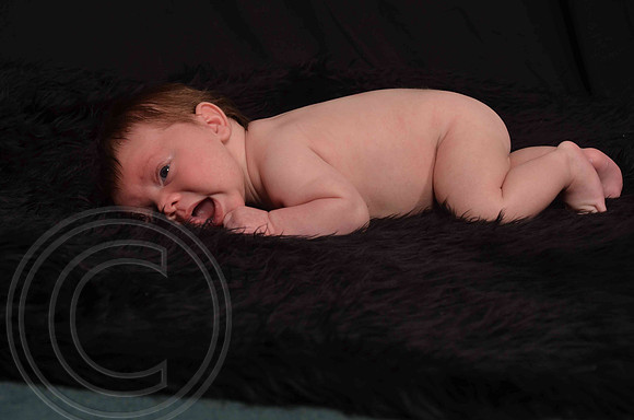 Aumanphoto-024