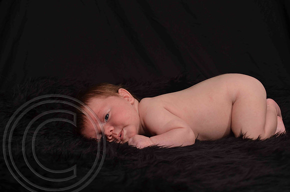 Aumanphoto-026