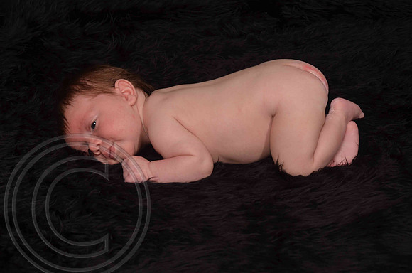Aumanphoto-029