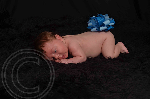 Aumanphoto-038