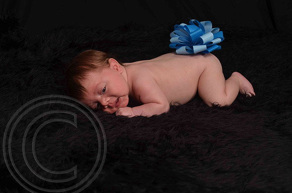Aumanphoto-039