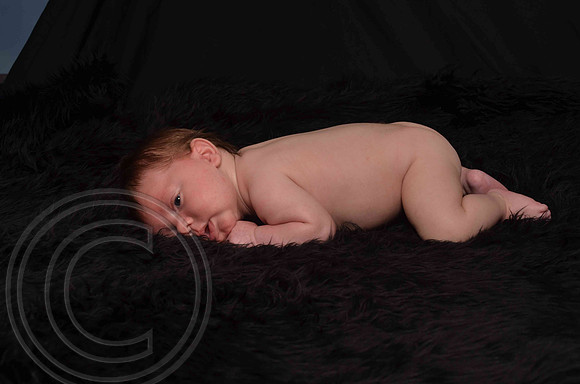 Aumanphoto-040