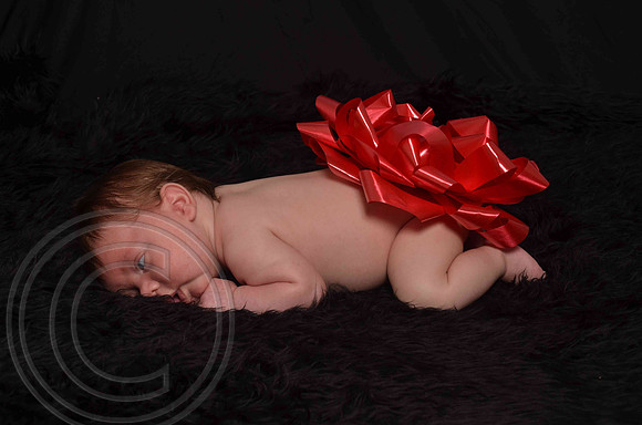 Aumanphoto-042