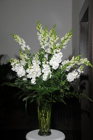 aumanphoto-013